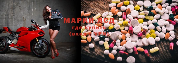 apvp Алексин